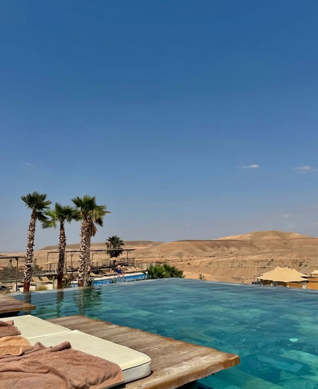 A pool and palms in an arid landscape