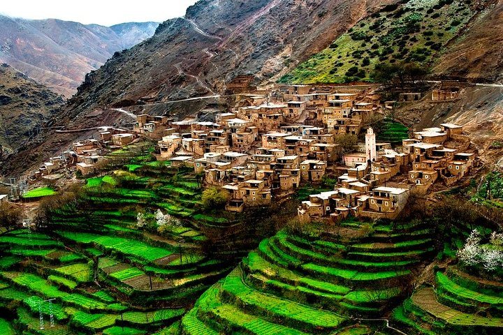 Traditional houses and green terraces on a High Atlas hillside