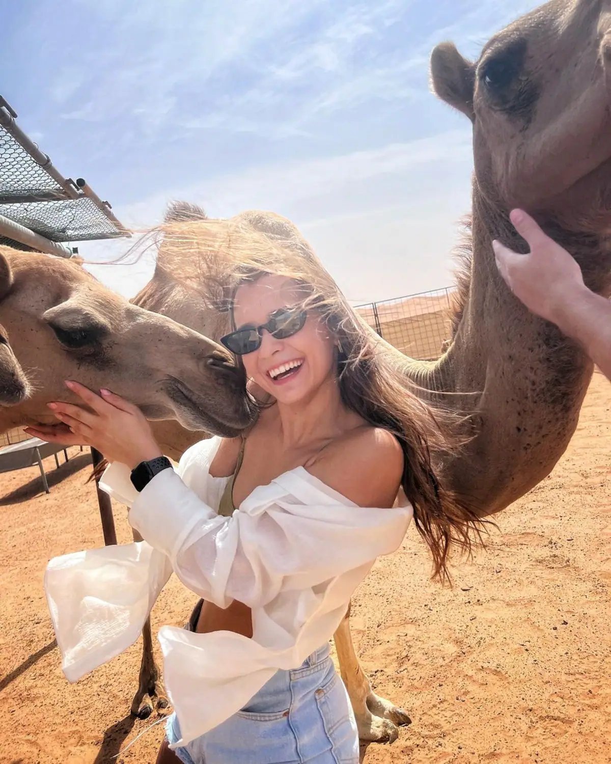 A traveller beside camels at a desert stop