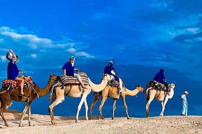 A camel caravan crossing a desert landscape