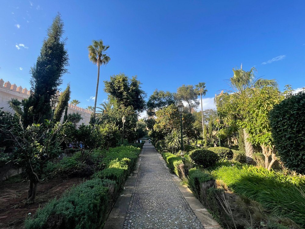 A landscaped garden with a central path in Marrakech